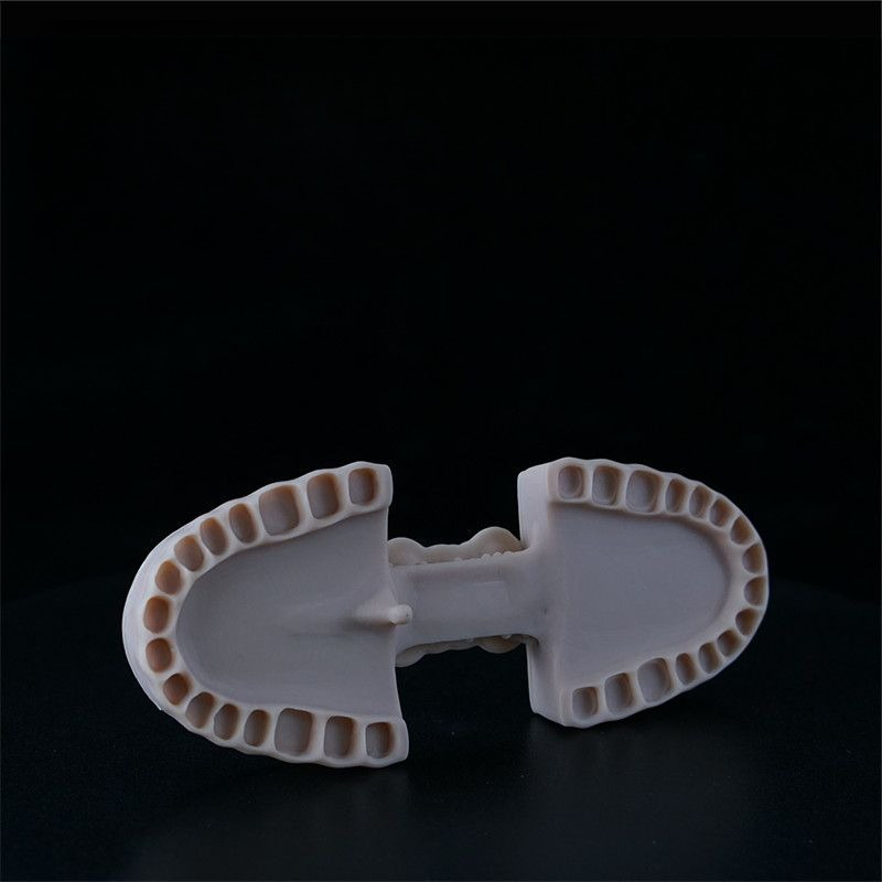 Dental Model Resin LCD Photocu – 3D Printing Orthodontics recenzja i cena