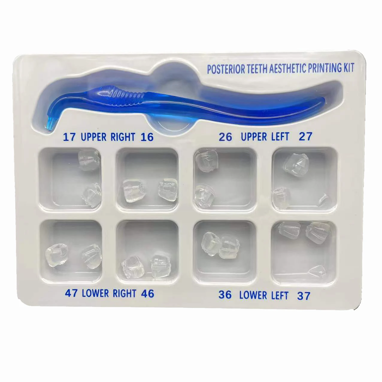 Dental Orthodontic Posterior T – 3D Printing Orthodontics recenzja i cena