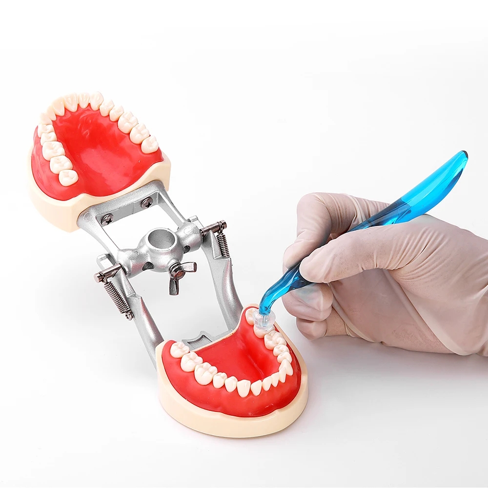 Dental Orthodontic Posterior T – 3D Printing Orthodontics recenzja i cena
